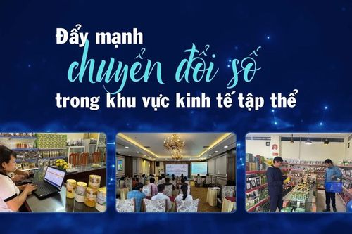 Đẩy mạnh chuyển đổi số trong khu vực kinh tế tập thể