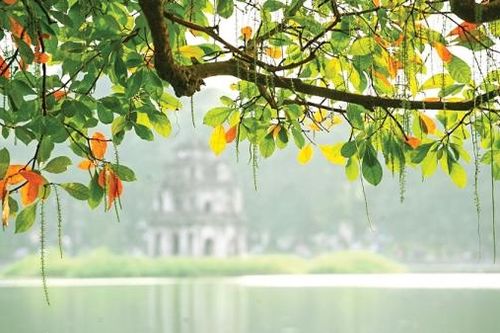 Cảm xúc tháng Mười