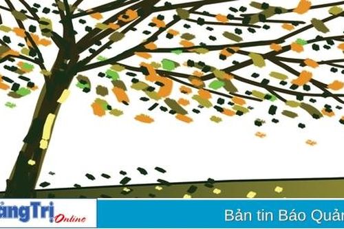 Màu bằng lăng nhung nhớ