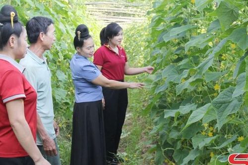 Đồng hành cùng đồng bào dân tộc thiểu số