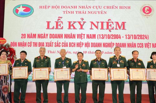 Hiệp hội Doanh nhân cựu chiến binh tỉnh: Tổng doanh thu đạt trên 15 nghìn tỷ đồng/năm