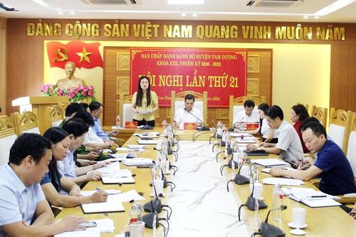 Tam Dương (Vĩnh Phúc): Quyết tâm hoàn thành các chỉ tiêu nhiệm vụ năm 2024