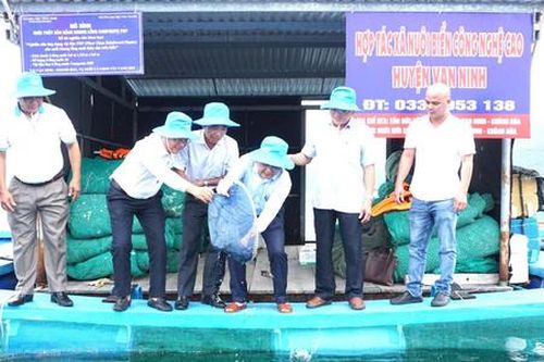 Ra mắt HTX Vạn Ninh: Bước tiến phát triển nghề nuôi biển công nghệ cao ở Khánh Hòa