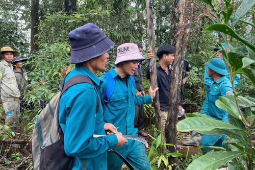Hơn 100 người tìm kiếm người phụ nữ câm điếc bị lạc trong rừng