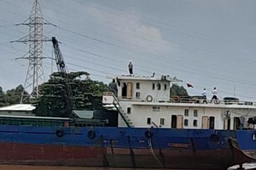 Tàu thủy vi phạm khoảng cách an toàn khiến 38 nghìn hộ dân bị mất điện