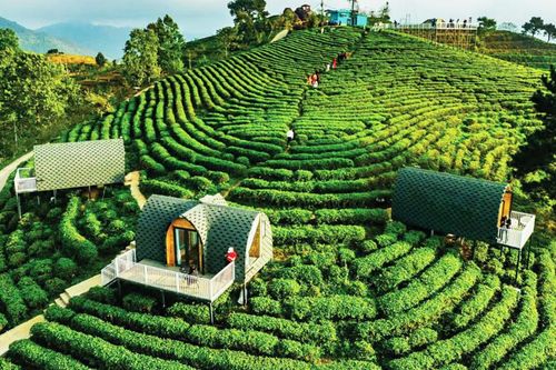 Đánh thức tiềm năng Phja Oắc - Phja Đén