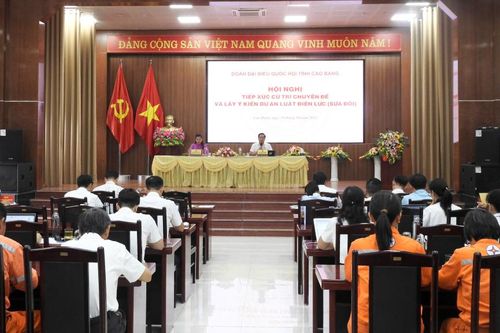 Đoàn Đại biểu Quốc hội tỉnh tiếp xúc cử tri chuyên đề và lấy ý kiến dự án Luật Điện lực (sửa đổi)
