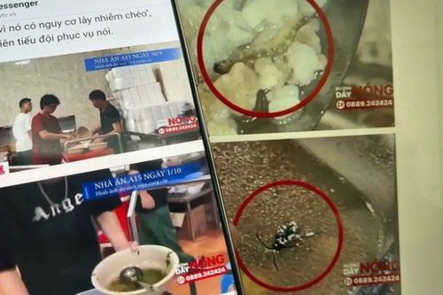Vụ sinh viên Bách khoa ăn cơm thừa, có dị vật: Phó Thủ tướng yêu cầu xử lý nghiêm
