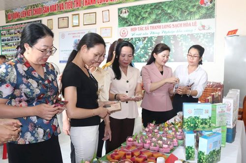 HTX Thanh long sạch Hòa Lệ: Làm giàu từ trái thanh long