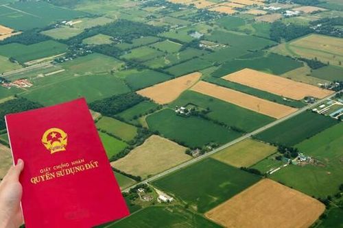 Cố ý chuyển nhượng đất không có sổ đỏ bị xử lý thế nào theo quy định mới nhất?