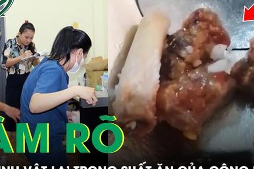 Kiểm tra làm rõ thông tin trong suất ăn của công nhân xuất hiện 'sinh vật lạ' ở Đồng Nai