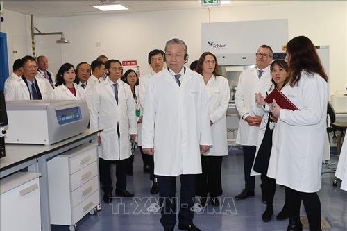 Tăng cường hợp tác về y tế nhân chuyến thăm chính thức của Tổng Bí thư, Chủ tịch nước Tô Lâm tới Mông Cổ, Ireland và Pháp