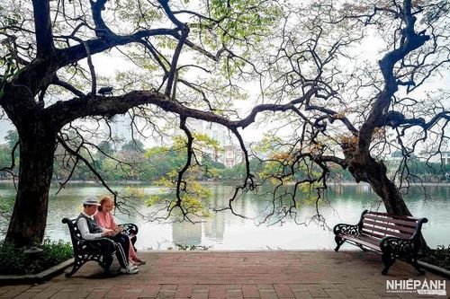 Cần thêm những tác phẩm vì tình yêu Hà Nội...