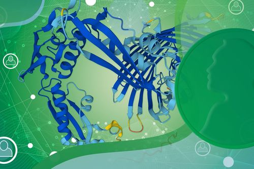Công trình AI lịch sử của Google mang về Nobel Hóa học 2024