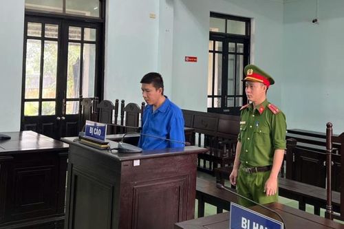'Mai tặc' lãnh án