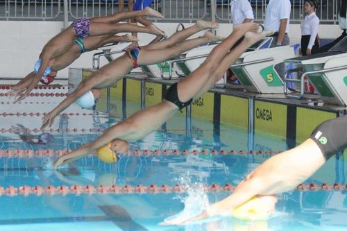 283 kình ngư dự Giải bơi, lặn vô địch quốc gia năm 2024 tại Đà Nẵng