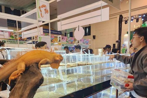 60 gian hàng tham gia Tuần lễ sinh vật cảnh TPHCM năm 2024