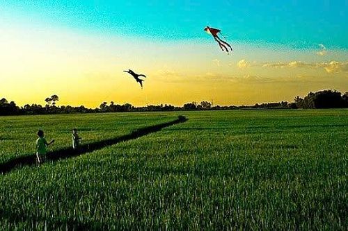 Một bài thơ góp sức 'giải mã' một câu hỏi thường nhật
