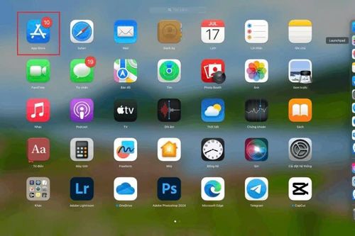 Hướng dẫn tải Canva cho Macbook, đơn giản bạn nên biết