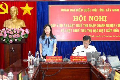 Cần có quy định cấm được khấu trừ và hoàn thuế nếu hóa đơn bất hợp pháp