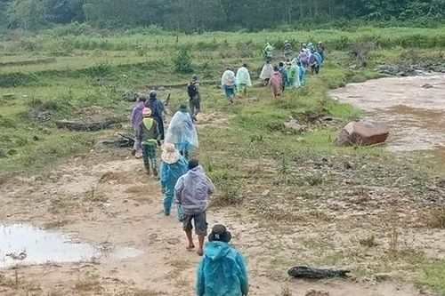 Hơn 100 người tìm kiếm phụ nữ đi lạc trong rừng nhiều ngày