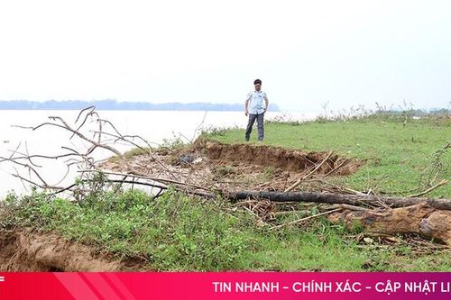 Bờ sông Lam sạt lở nghiêm trọng, người dân mất đất sản xuất