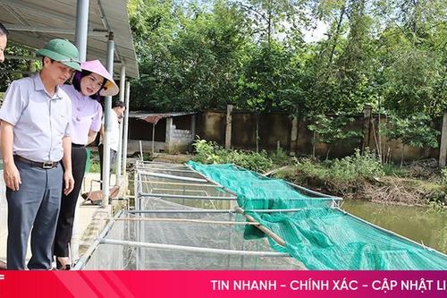 Ông nông dân xây dựng mô hình nông nghiệp theo hướng tuần hoàn