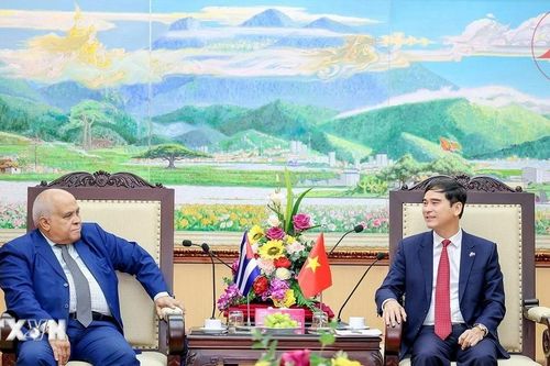 Cụ thể hóa các hợp tác giữa tỉnh Vĩnh Phúc và tỉnh Mayabeque của Cuba