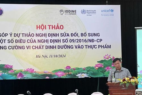 Chỉ khoảng 27% hộ gia đình ở Việt Nam sử dụng muối iốt đủ tiêu chuẩn