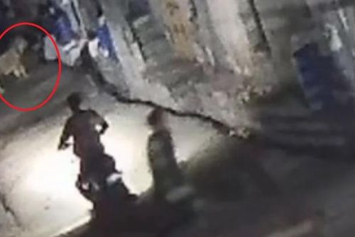 Clip: Chạm trán sư tử, 2 người đàn ông vứt xe bỏ chạy và cái kết