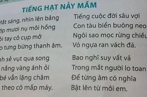 Nhân 'ánh ỏi' nghĩ về đọc thơ