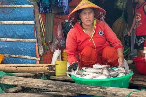 Nước mắt người nuôi cá trên lòng hồ thủy điện Ia Mơr