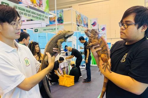 Khai mạc Tuần lễ sinh vật cảnh TPHCM