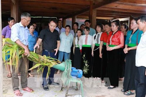 Chuyện sau khi dân bản Mường Nhé học nghề