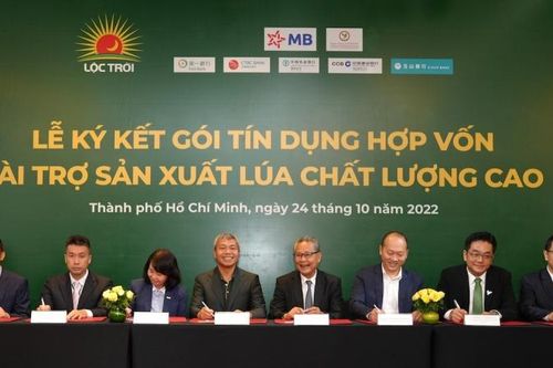Lộc Trời sa sút thế nào dưới thời cựu CEO Nguyễn Duy Thuận?