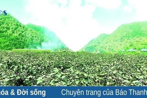 Dừng chân ở Son - Bá - Mười