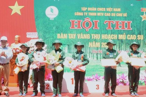 30 thí sinh tham gia hội thi Bàn tay vàng thu hoạch mủ cao su