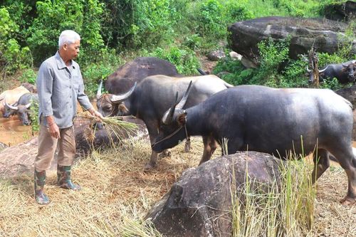 Những đảng viên dân tộc thiểu số làm kinh tế giỏi