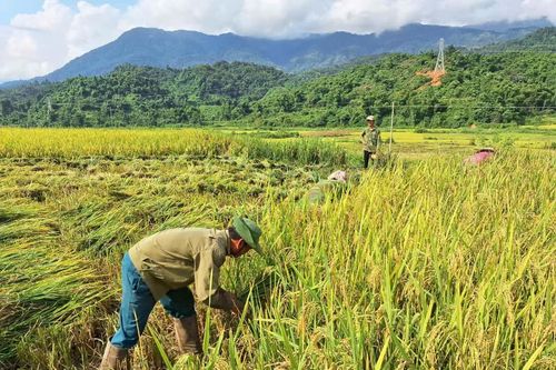 Lãnh đạo nhân dân phát triển kinh tế