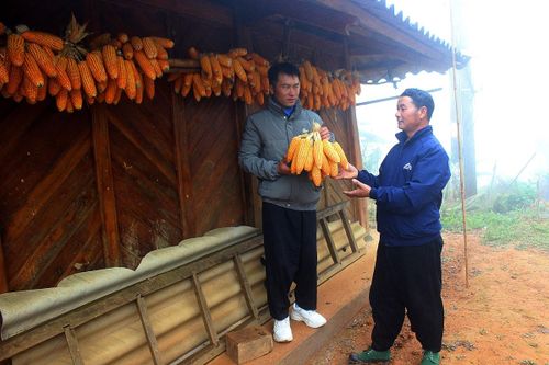 Linh hoạt trong học tập và làm theo Bác