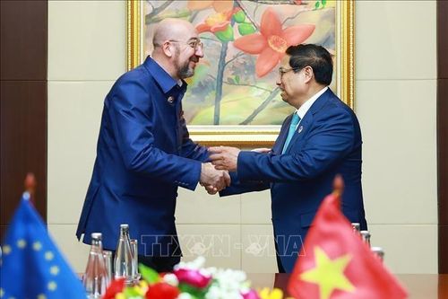Quan hệ Việt Nam - EU phát triển ngày càng mạnh mẽ, sâu rộng