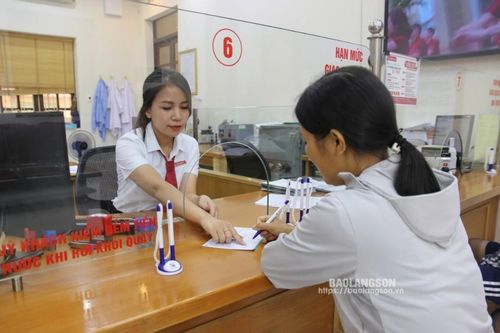 Ngành ngân hàng đồng hành với người dân và doanh nghiệp khôi phục sản xuất sau bão