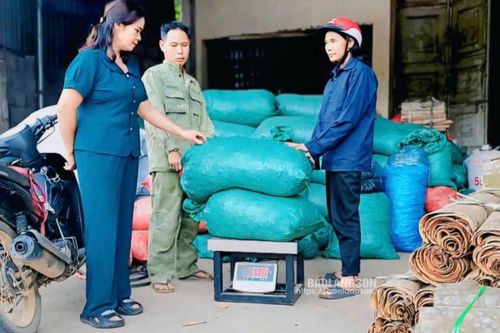 Hợp tác xã sản xuất, kinh doanh tổng hợp Bảo Long Vũ Sơn: Điểm sáng tiêu thụ nông, lâm sản cho người dân