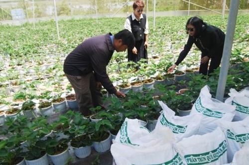 Kích hoạt nông nghiệp tuần hoàn theo hướng tăng trưởng xanh
