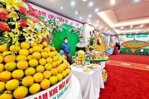 Sắp diễn ra Lễ hội Cam và các sản phẩm Hà Tĩnh năm 2024