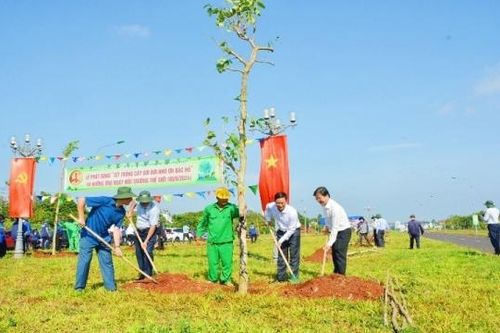 Đắk Lắk: Sẽ triển khai trồng hơn 5.000 cây xanh trên địa bàn thành phố Buôn Ma Thuột