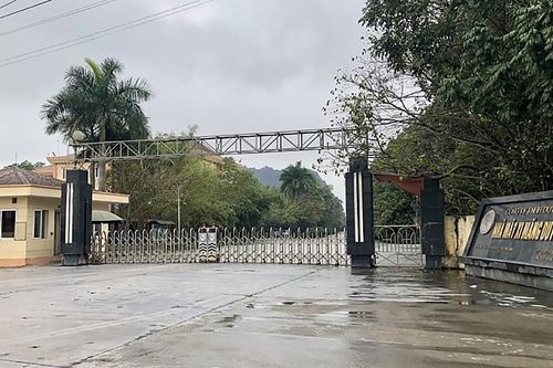Ninh Bình: Chuyển 38ha rừng thành mỏ đá cho nhà máy xi măng Duyên Hà