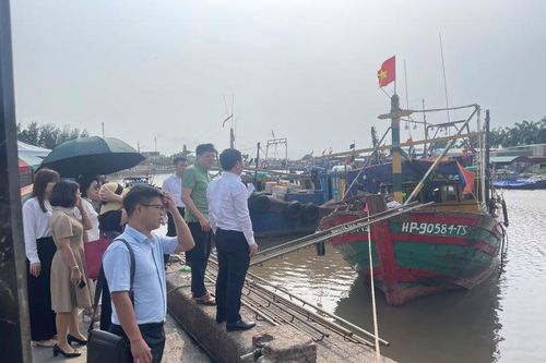 Hoàn thiện Danh mục đơn vị trong Phần mềm Tổng kiểm kê tài sản công
