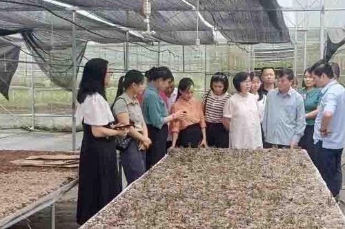 Khoa học và công nghệ góp phần thúc đẩy phát triển kinh tế - xã hội
