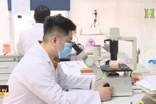 631 ứng viên đạt tiêu chuẩn xét Giáo sư, Phó Giáo sư